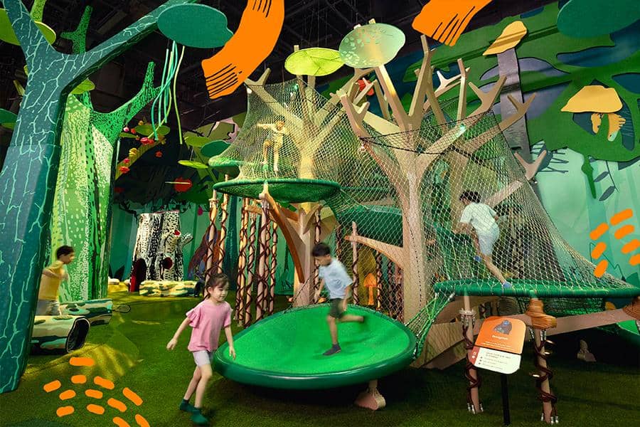 Curiosity Cove yang ada di Mandai Wildlife Reserve