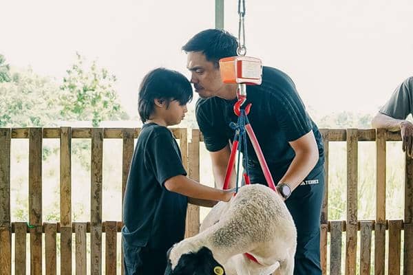 Peternakan Domba Ayudia Bing Slamet dan Ditto di Klaten (instagram.com/dittopercussion)