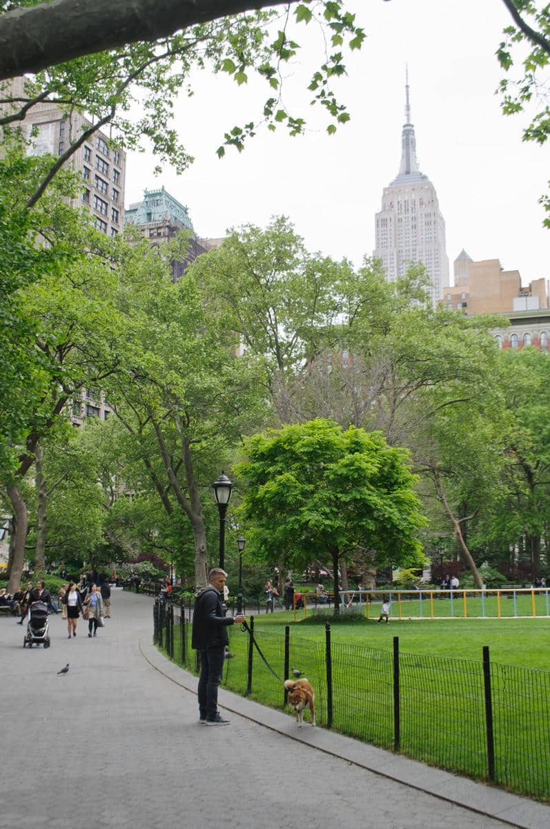potret Madison Square Park