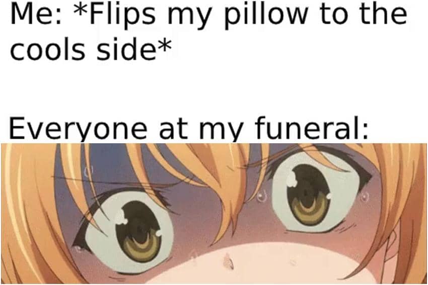 meme anime tentang pemakaman