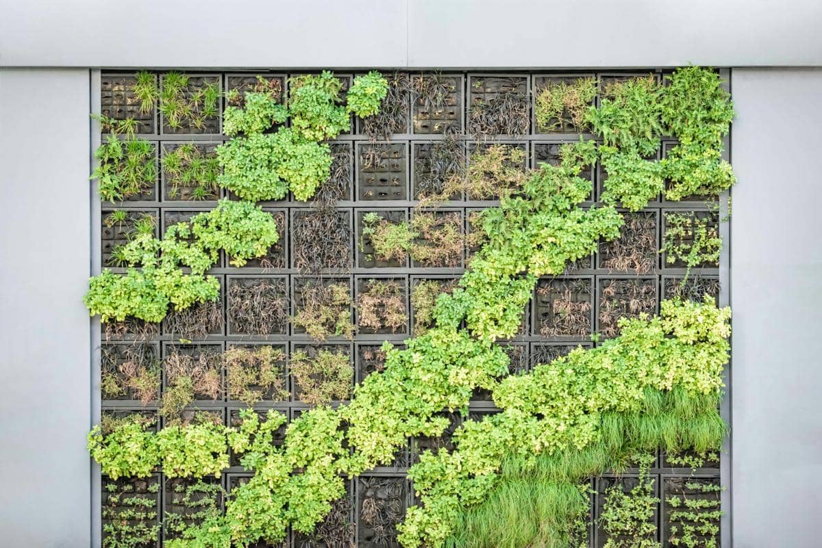 illustrasi media untuk vertical garden 