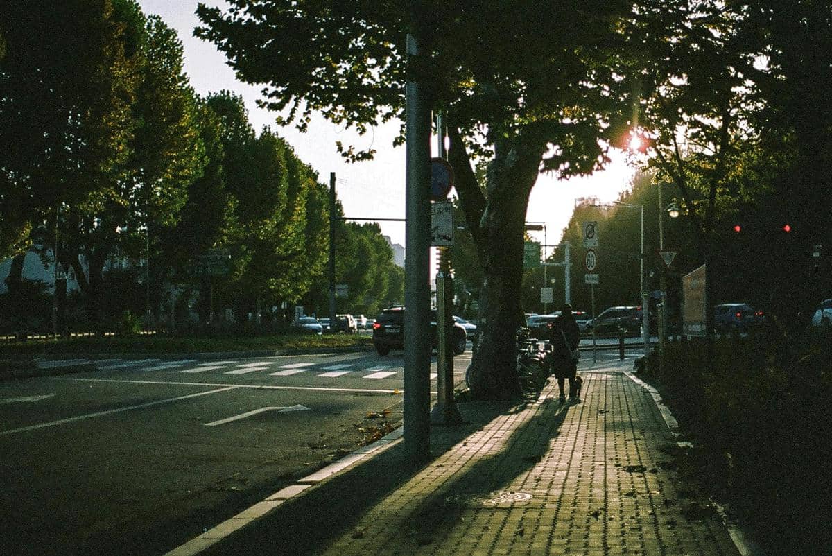 ilustrasi simpangan jalan 