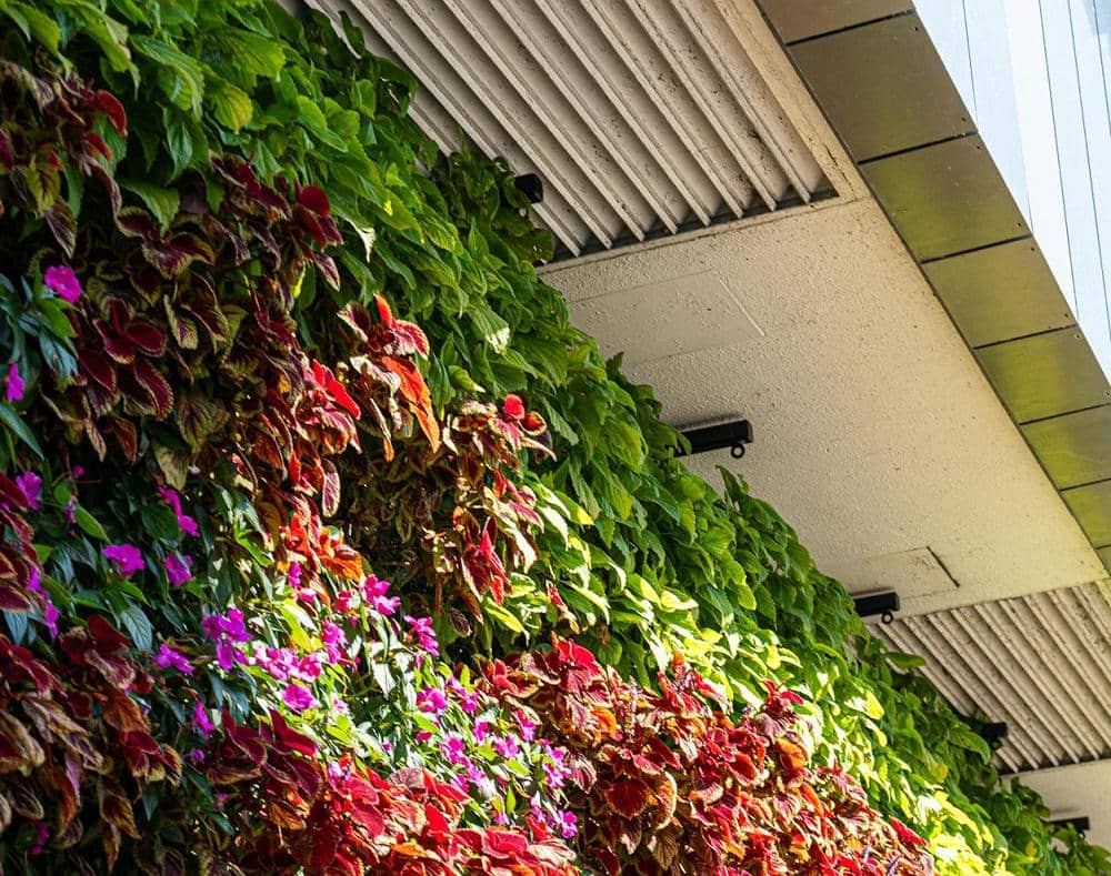 illustrasi tanaman dengan bobot ringan 