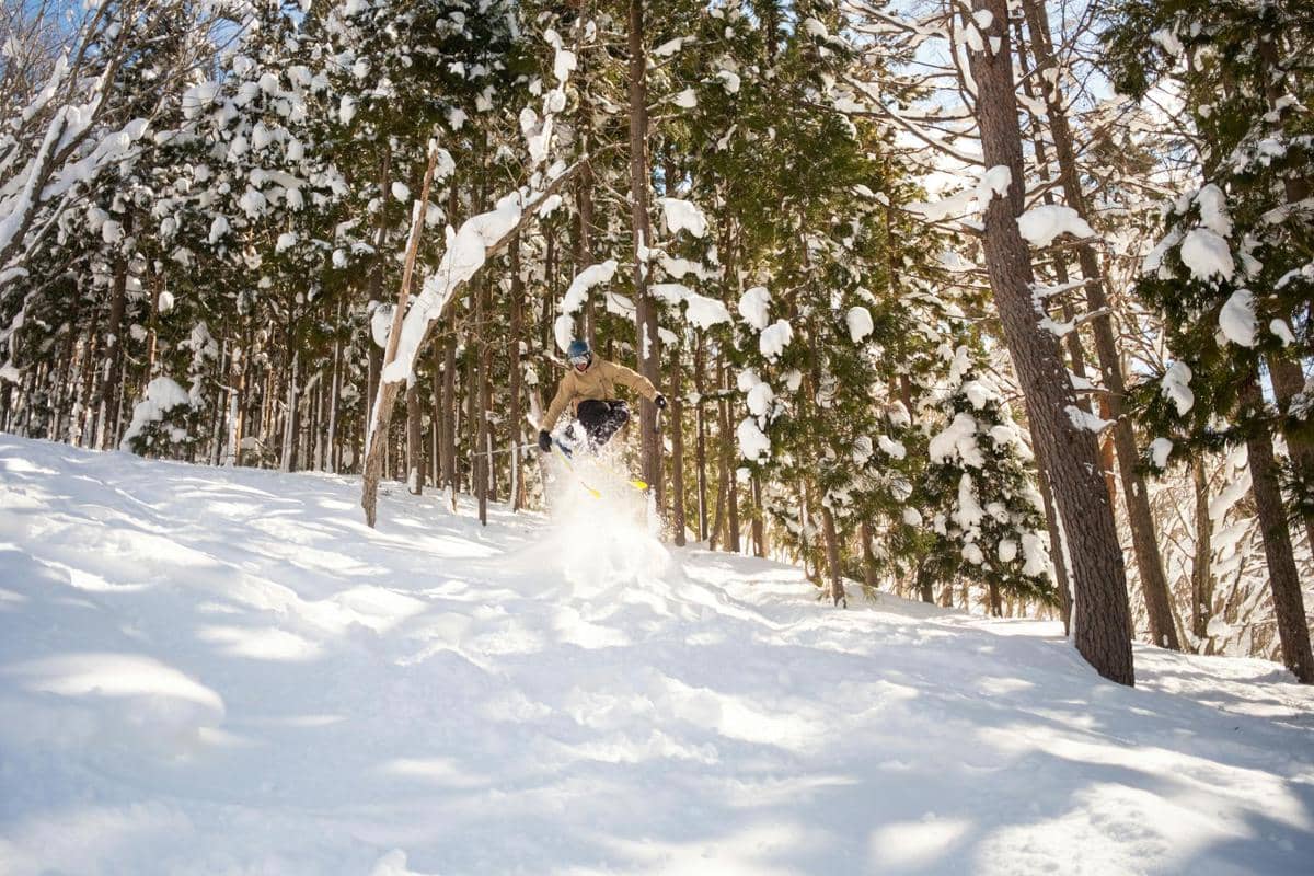 ilustrasi salju di Hakuba