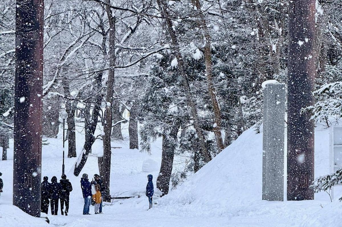 ilustrasi menikmati musim dingin di Sapporo Jepang
