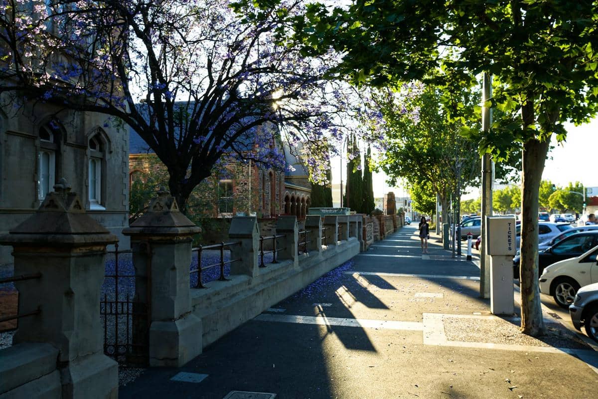 potret Kota Adelaide