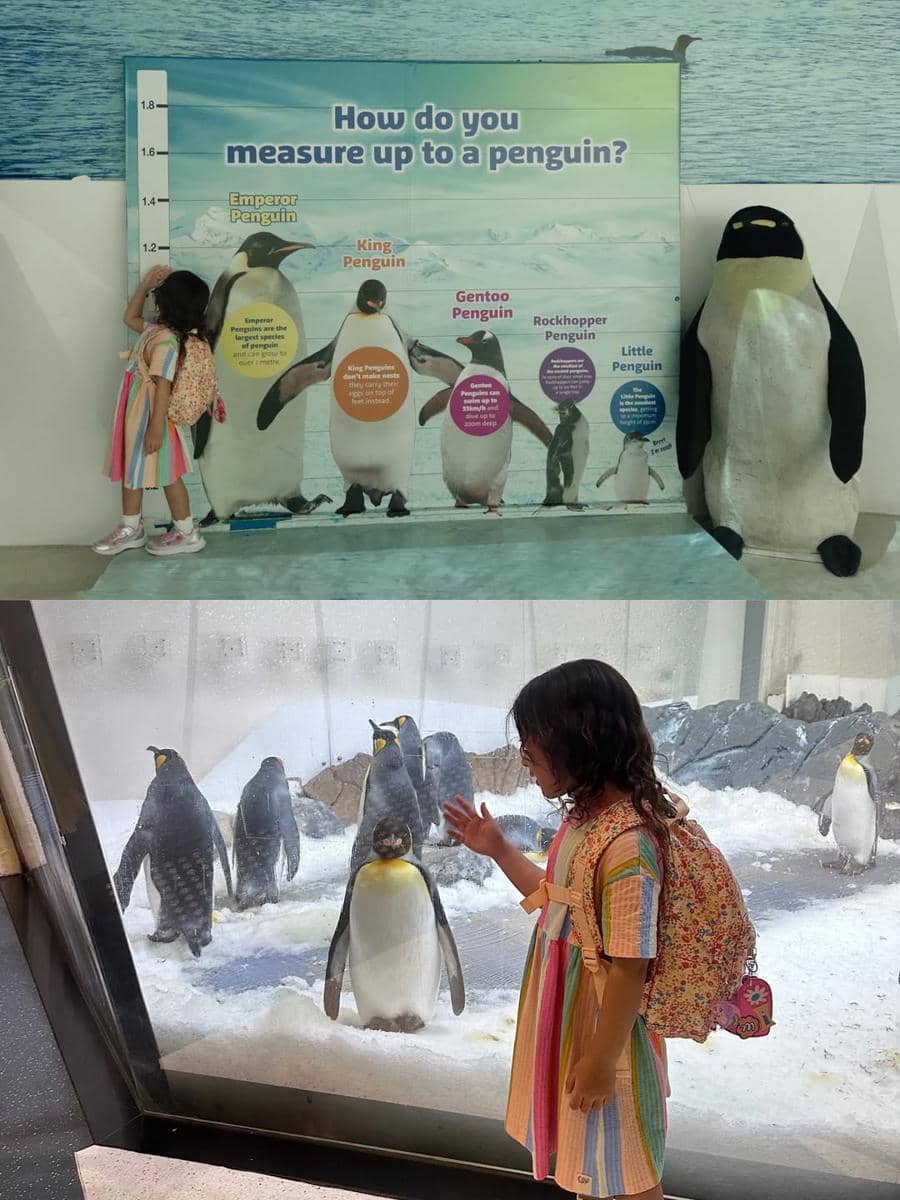 Dian Pelangi ajak anak jalan-jalan di Melbourne.