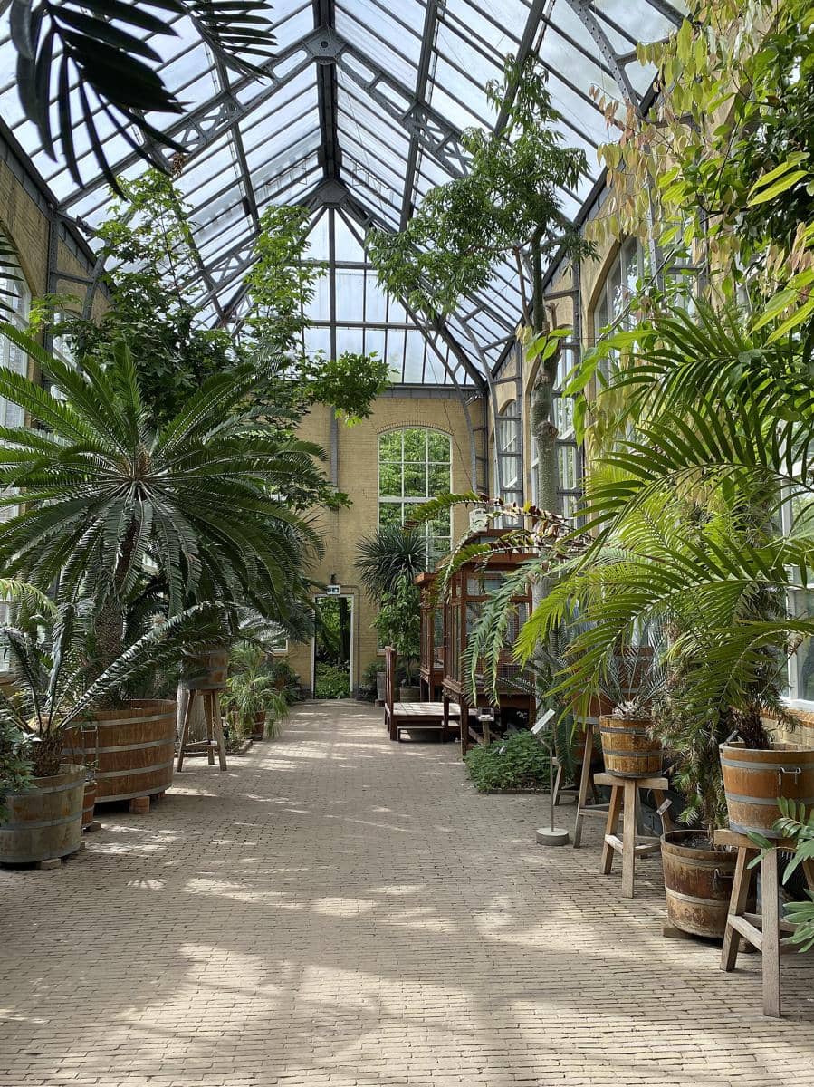 potret Hortus Botanicus