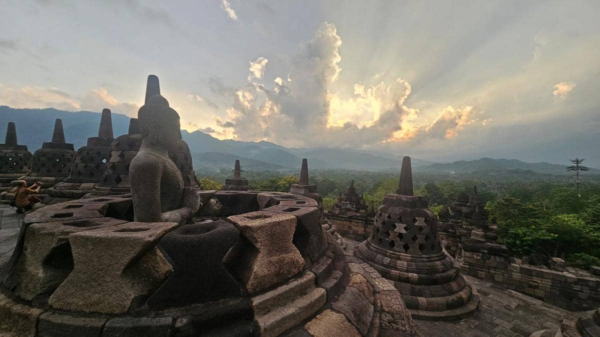 WhatsApp Image 2025-12-23 at 11.08.00.jpeg