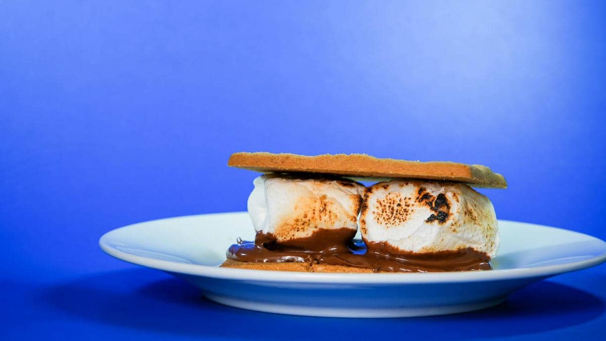 ilustrasi s’mores dessert