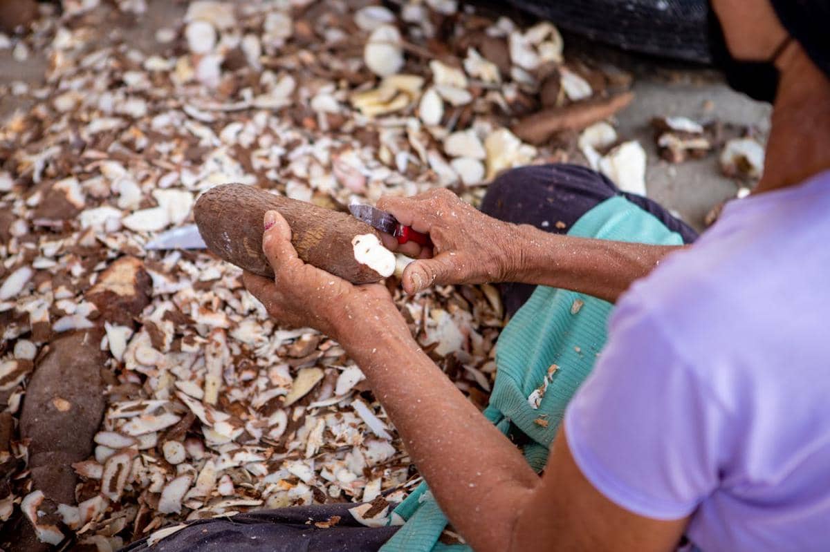 ilustrasi bahan baku tepung 