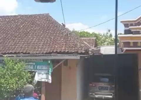 Diduga lutung Jawa (Trachypithecus auratus) berkeliaran di atas genting warga Tamanarum Parang. IDN Times/Riyanto.