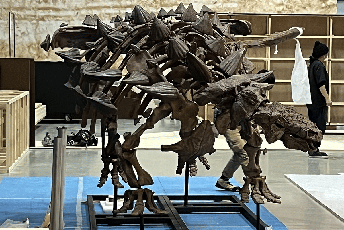 rekonstruksi kerangka Zuul