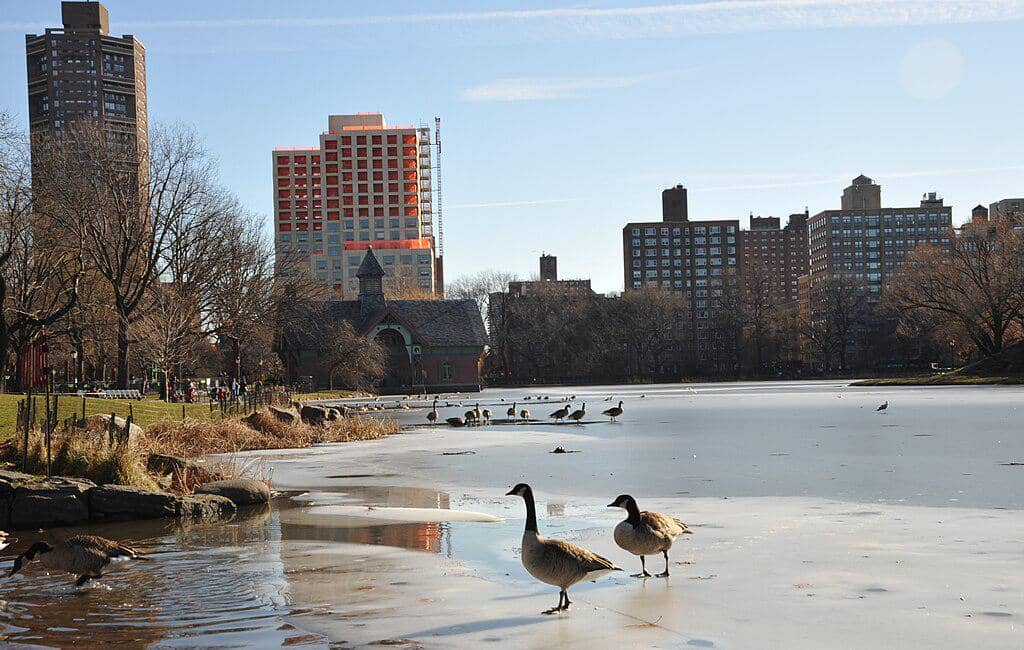 Harlem Meer di Central Park, New York
