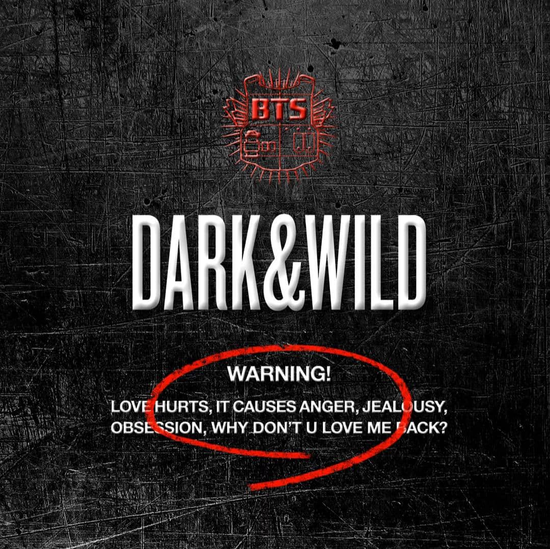 cover album DARK AND WILD