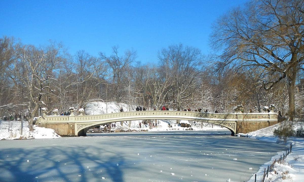 Bow Bridge di Central Park, New York