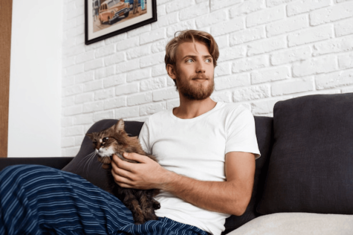 ilustrasi pria memelihara kucing di kamar kos