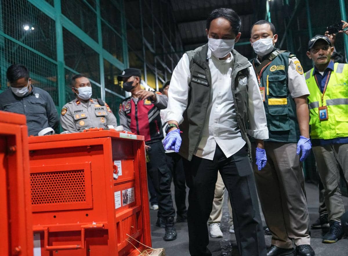 Kemenhut Pulangkan 4 Orangutan Sumatra dan Tapanuli dari Thailand