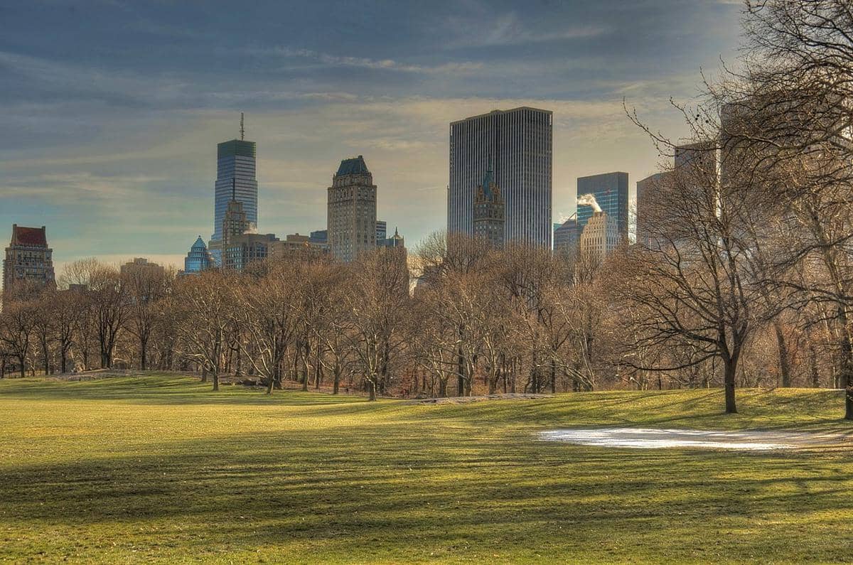Sheep Meadow di Central Park, New York