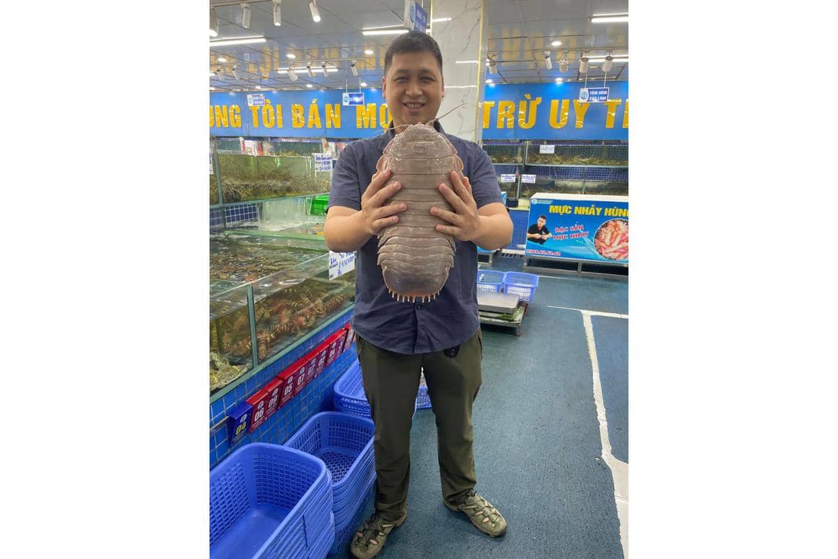 Dr. Nguyen Thanh Son memegang seekor Bathynomus