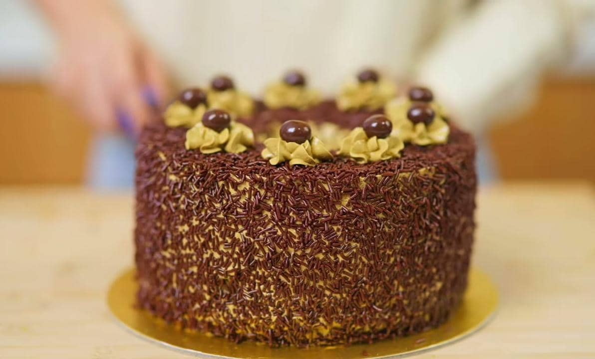ilustrasi mocha chiffon cake