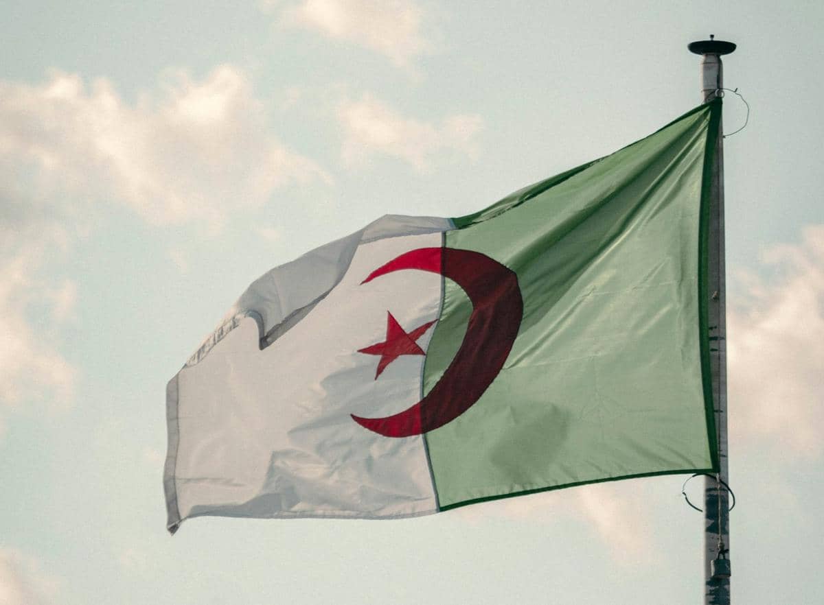 ilustrasi bendera Aljazair 