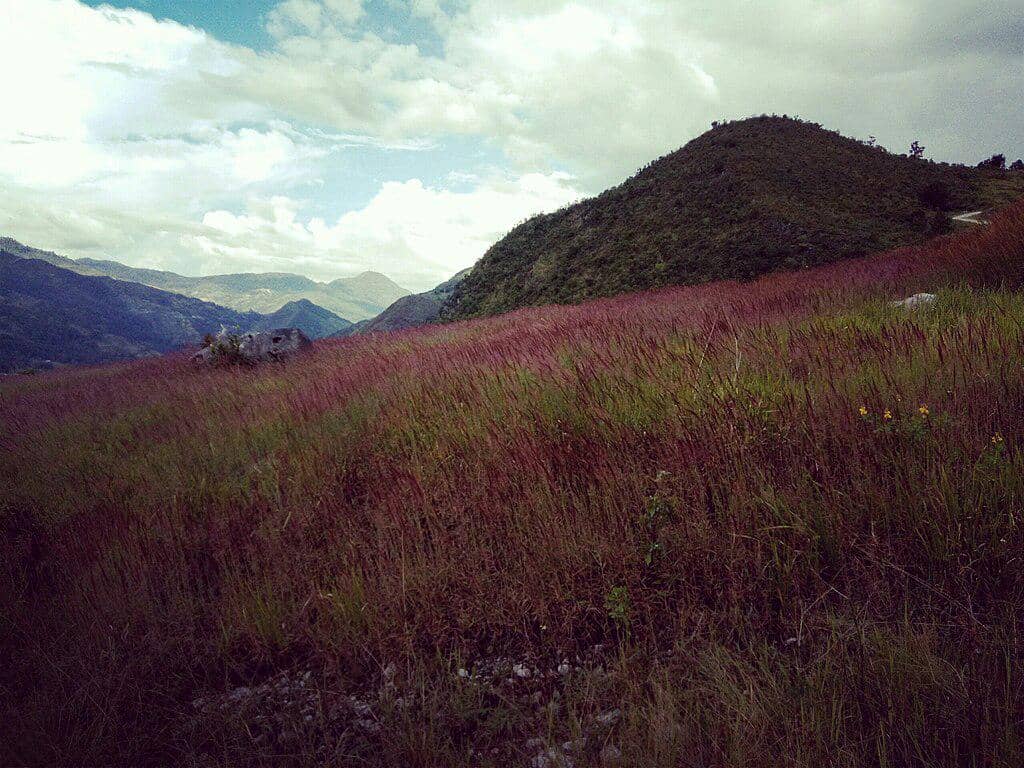 ilustrasi pegunungan Papua Tengah (commons.wikimedia.org/Gatot Sukarno Putra)