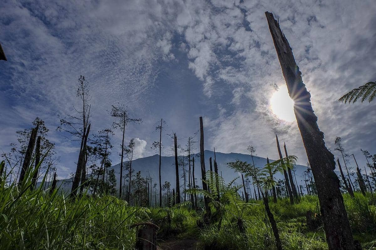 Taman Nasional Gunung Merbabu