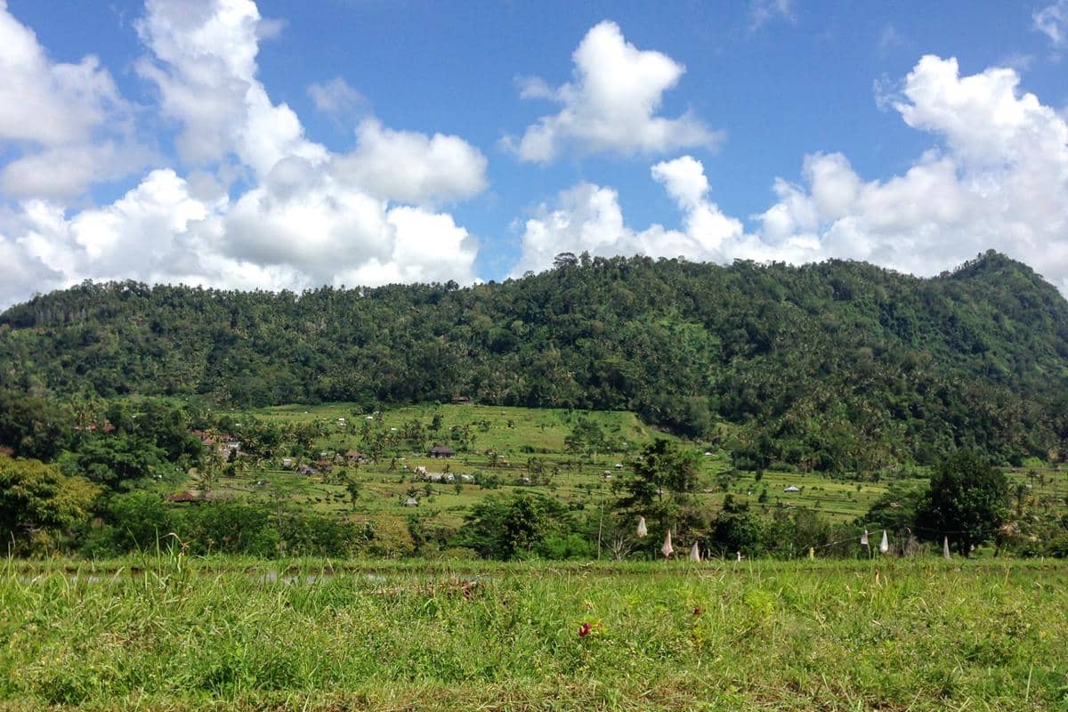 panorama sawah dan bukit di Sidemen (dok.pribadi/Natalia Indah)