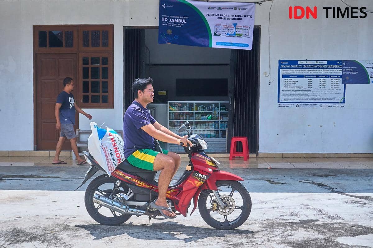 Juandika tersenyum lega sambil membawa karung pupuk NPK Phonska ke sepeda motornya di halaman kios PPTS UD Jambul. Ia berhasil menebus pupuk NPK Phonska hanya dalam lima menit. Penyederhanaan administrasi menjadi solusi nyata bagi petani yang selama ini kesulitan dengan persyaratan berbelit. (IDN Times/Dhana Kencana)