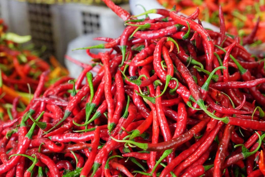 PHOTO-2025-12-26-13-20-05 2.jpeg