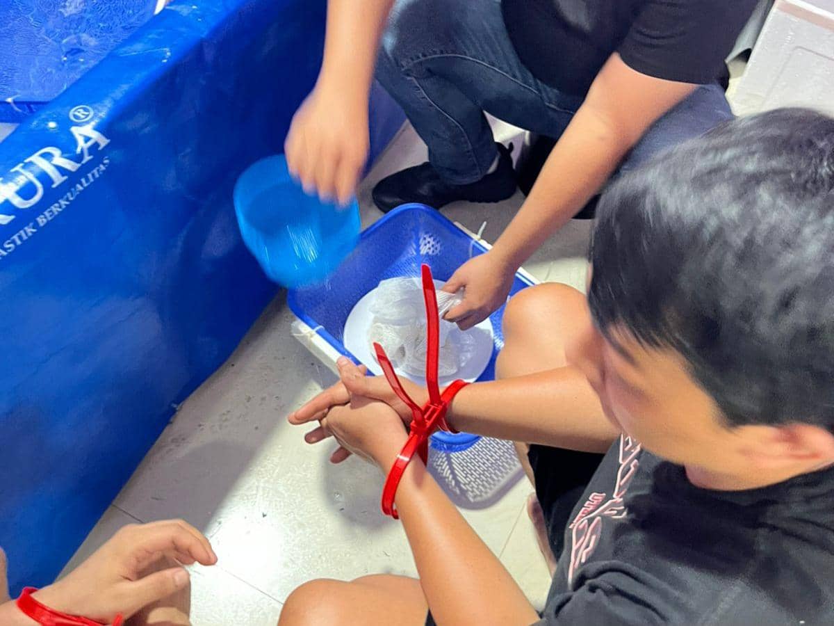 Gudang benih bening lobster ilegal di Tangerang digerebek polisi