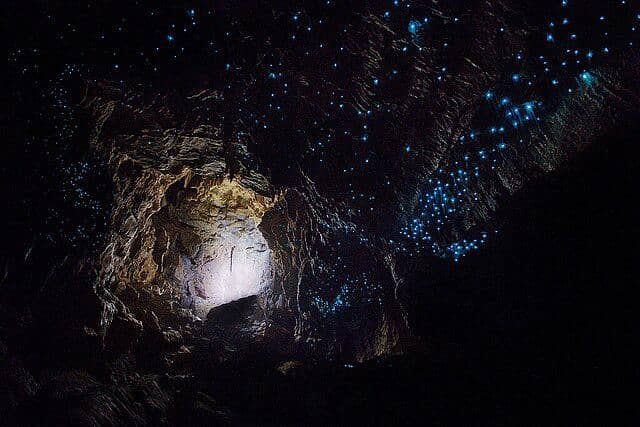 Waitomo Glowworm Caves