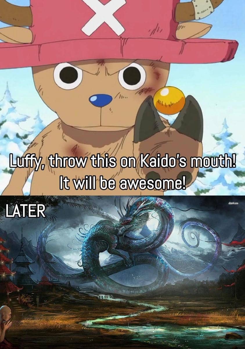 meme perubahan wujud Chopper