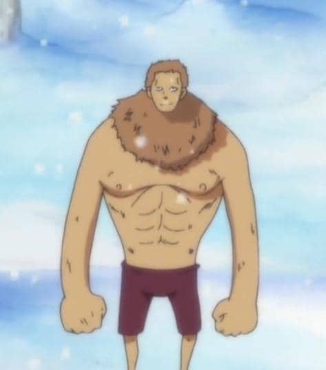 meme perubahan wujud Chopper