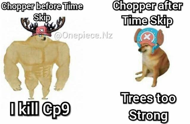 meme perubahan wujud Chopper