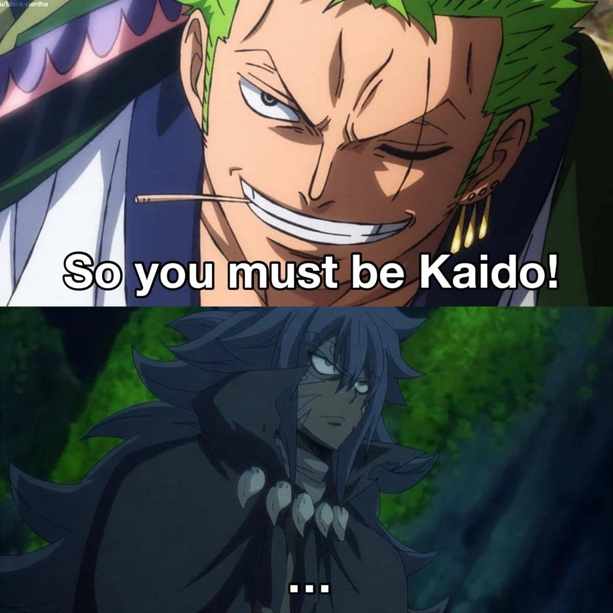 meme Zoro ikut campur di anime lain