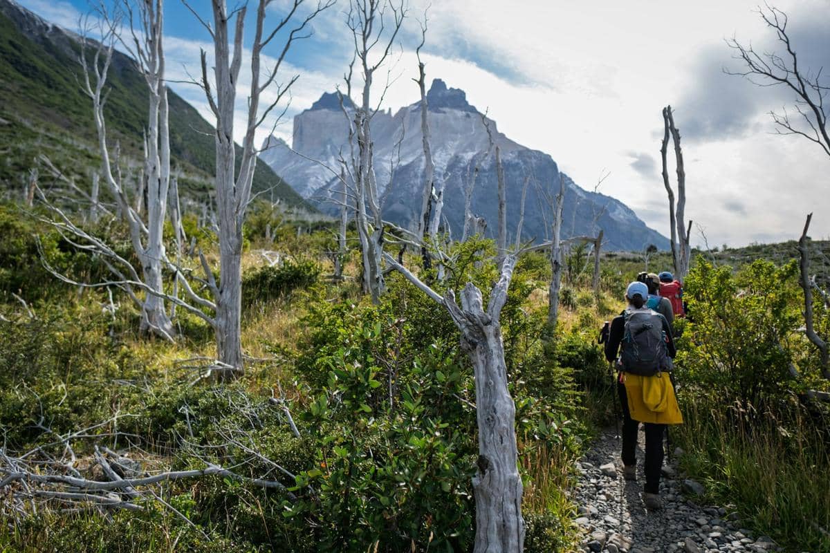 Ilustrasi pendaki berpapasan