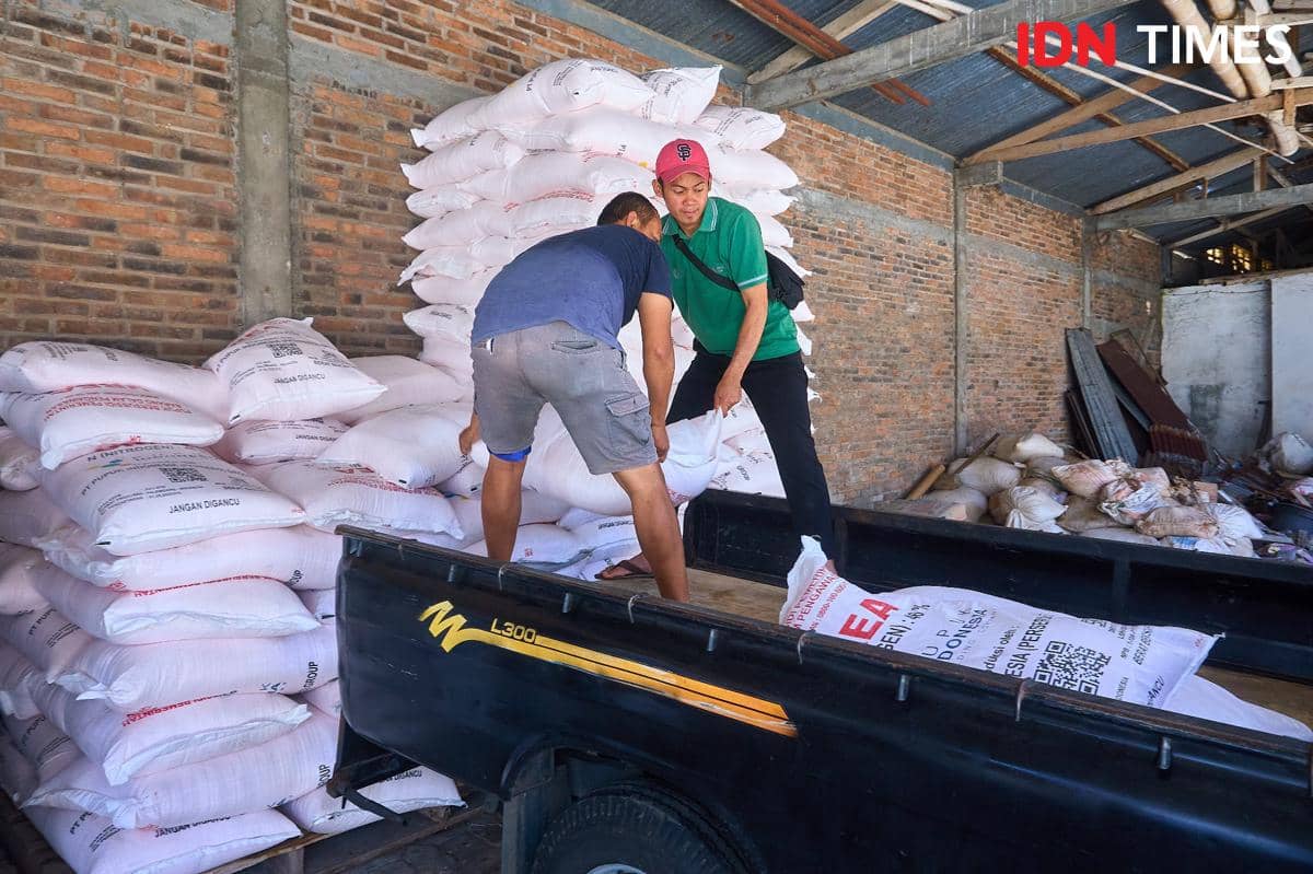 Petugas kios Penerima Pupuk pada Titik Serah (PPTS) UD Jambul, Fakhur Arif (kiri) bersama Bendahara Kelompok Tani Maju Mulyo, Muhammad Amanullah (kanan) mengangkut karung pupuk bersubsidi untuk diantar ke petani Desa Purwosari, Secang, Magelang, Senin (22/12/2025). (IDN Times/Dhana Kencana)