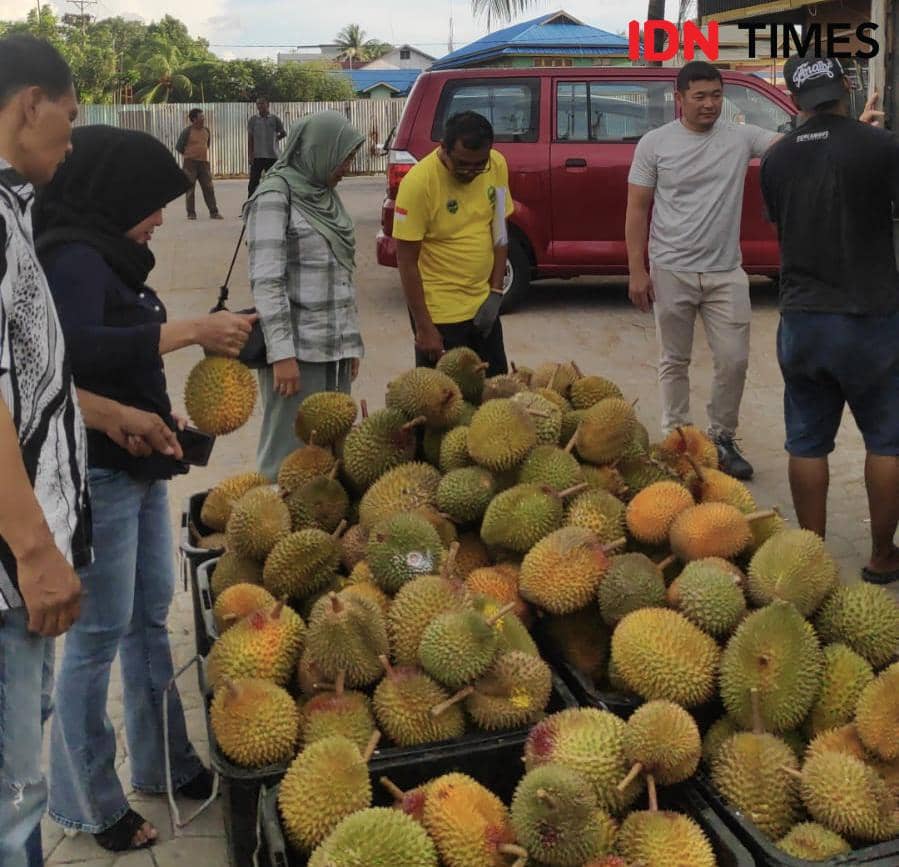 Pengunjung berburu durian khas Kalbar.