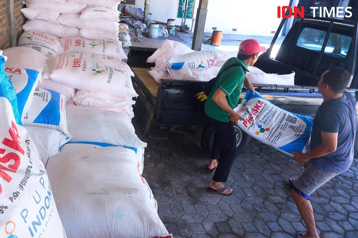 Petugas kios Penerima Pupuk pada Titik Serah (PPTS) UD Jambul, Fakhur Arif (kanan) bersama Bendahara Kelompok Tani Maju Mulyo, Muhammad Amanullah (kiri) mengangkut karung pupuk bersubsidi untuk diantar ke petani Desa Purwosari, Secang, Magelang, Juandika, Senin (22/12/2025). (IDN Times/Dhana Kencana)