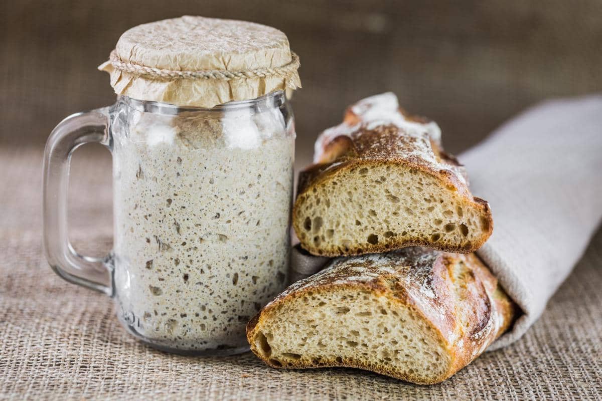 ilustrasi sourdough starter