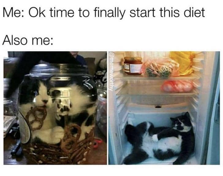 meme kucing dan kulkas