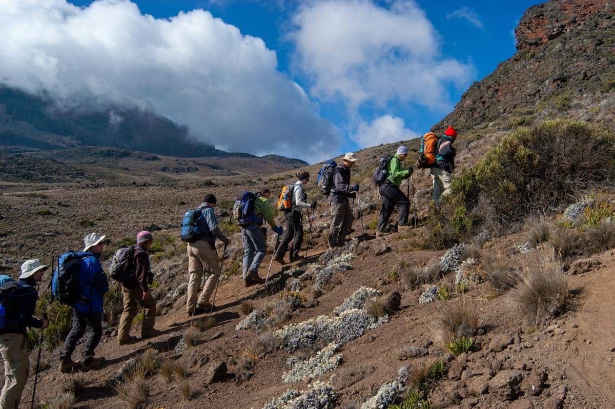 Pendaki di gunung Kilimanjaro