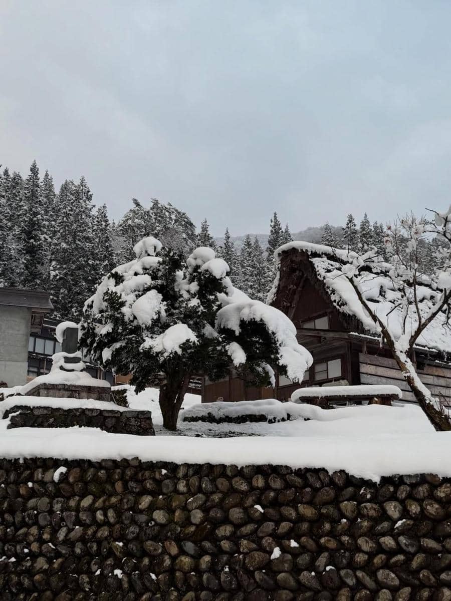 Keluarga Jennifer Dunn jalan-jalan di Desa Shirakawa Go.