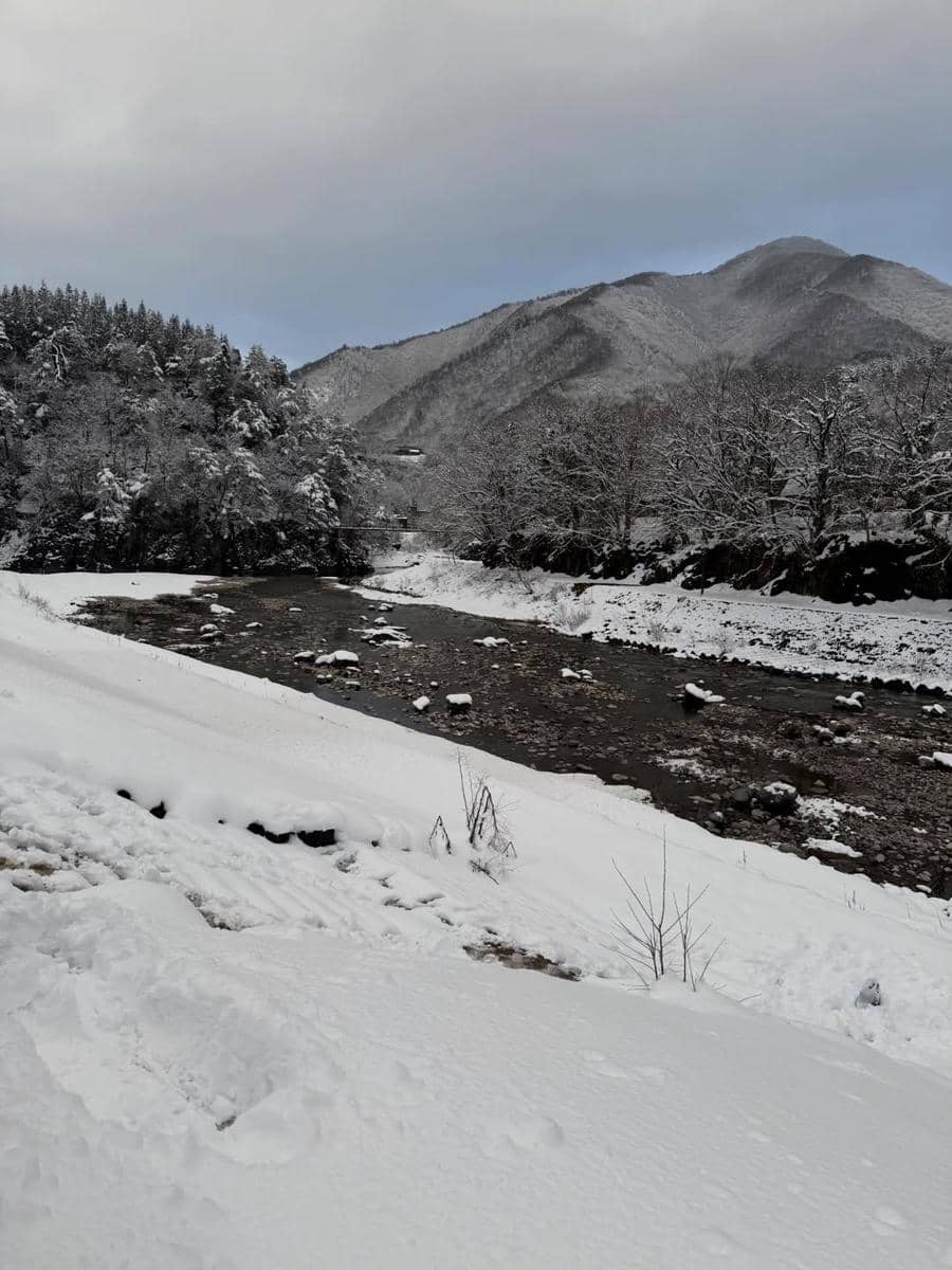 Keluarga Jennifer Dunn jalan-jalan di Desa Shirakawa Go.