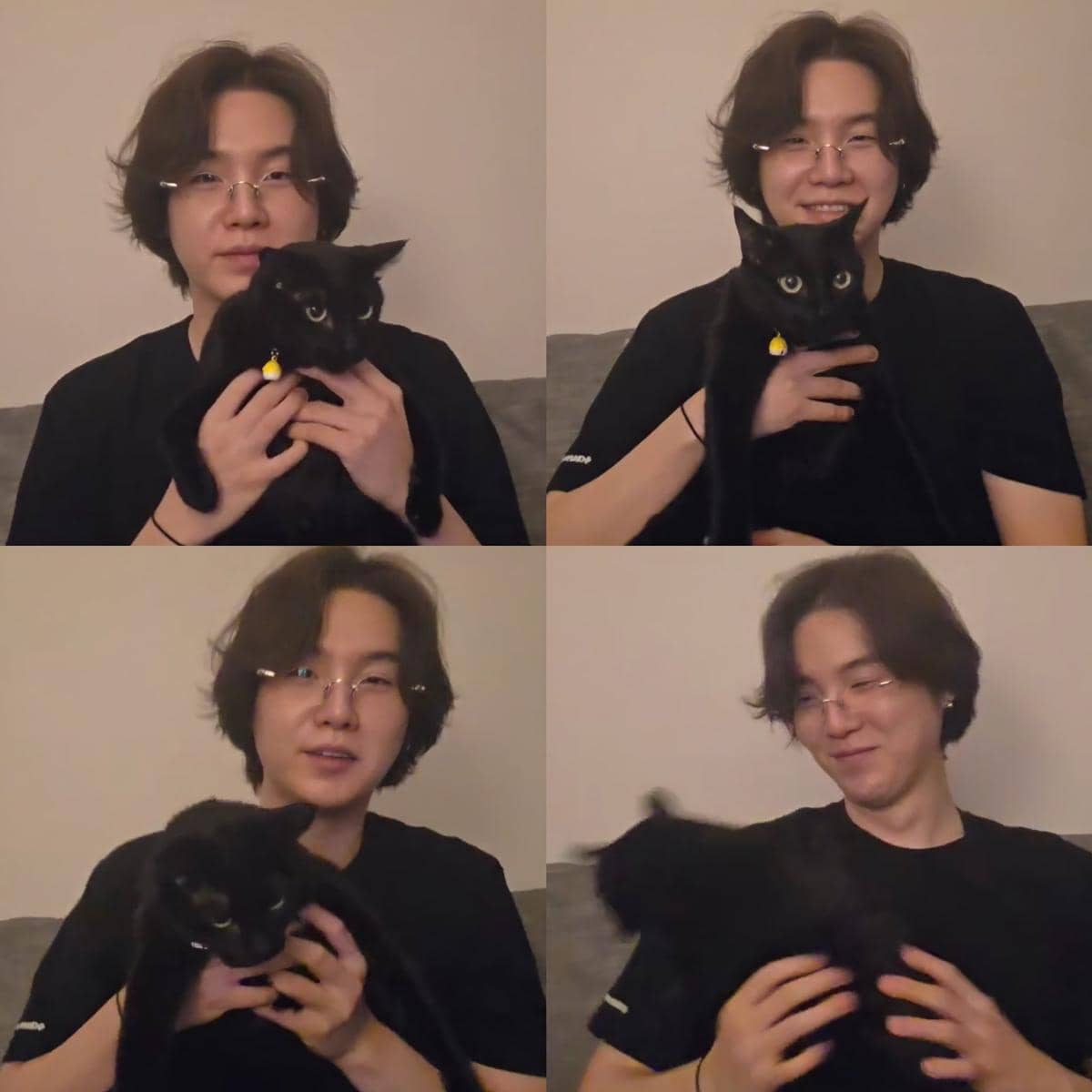 SUGA BTS live bersama kucingnya (dok. Weverse/BTS)