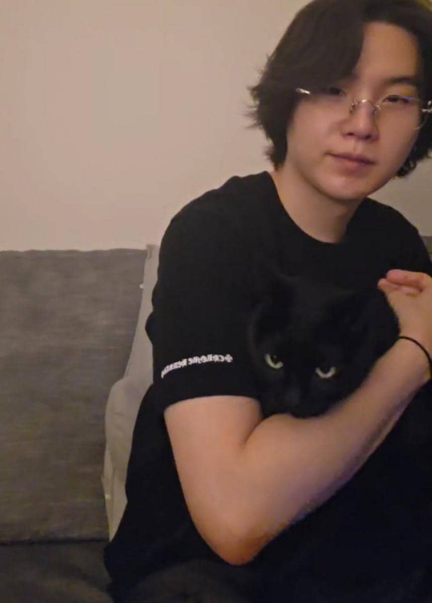 SUGA BTS live bersama kucingnya (dok. Weverse/BTS)