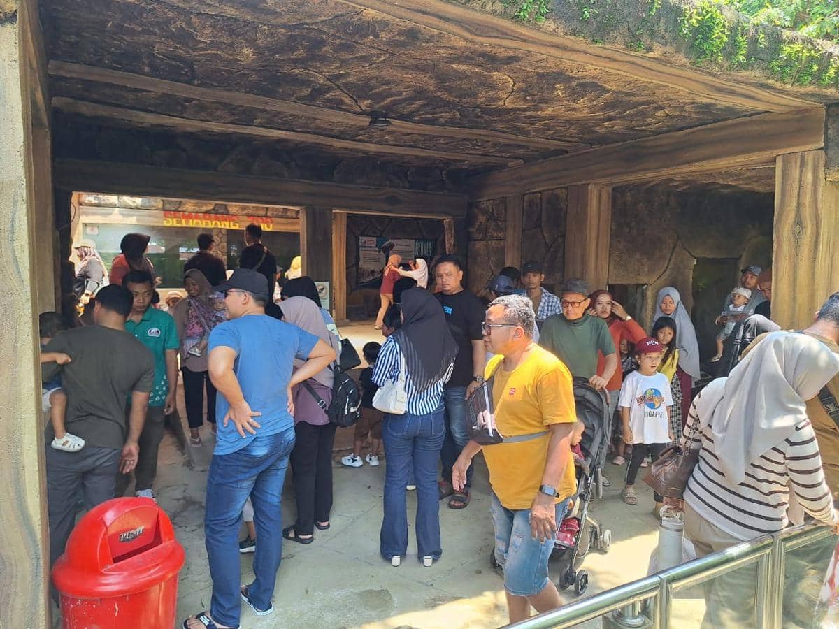 semarang zoo, liburan nataru, kebun binatang