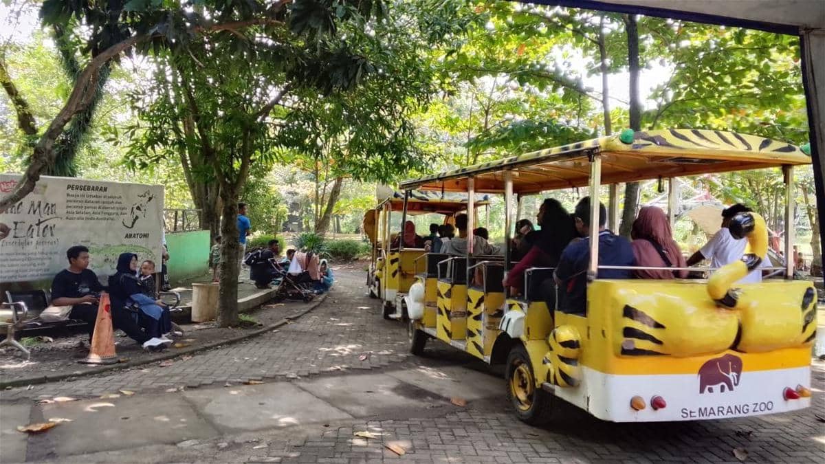 semarang zoo, liburan nataru, kebun binatang